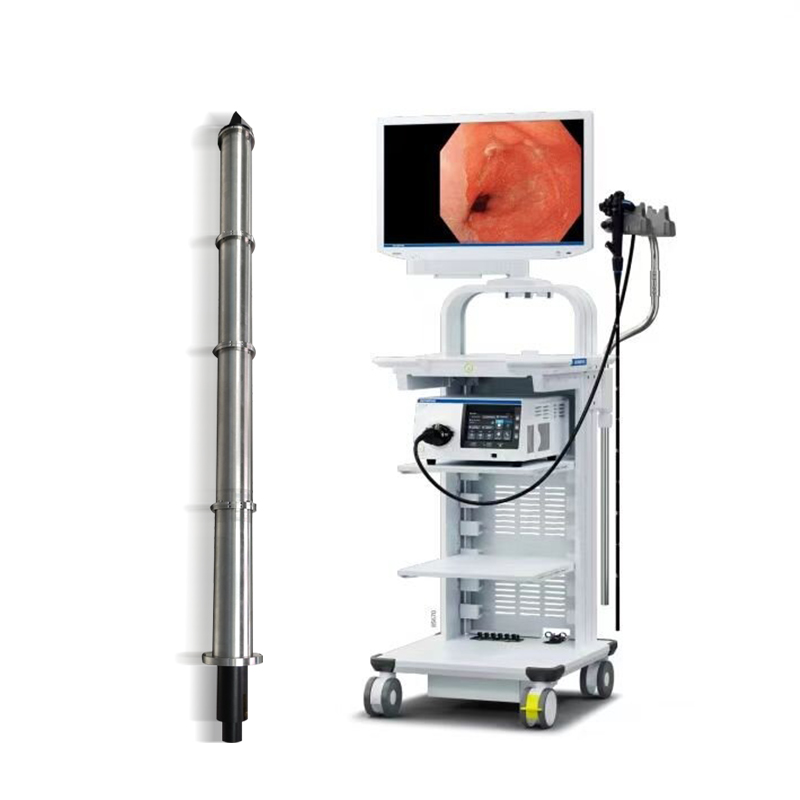 Endoscope